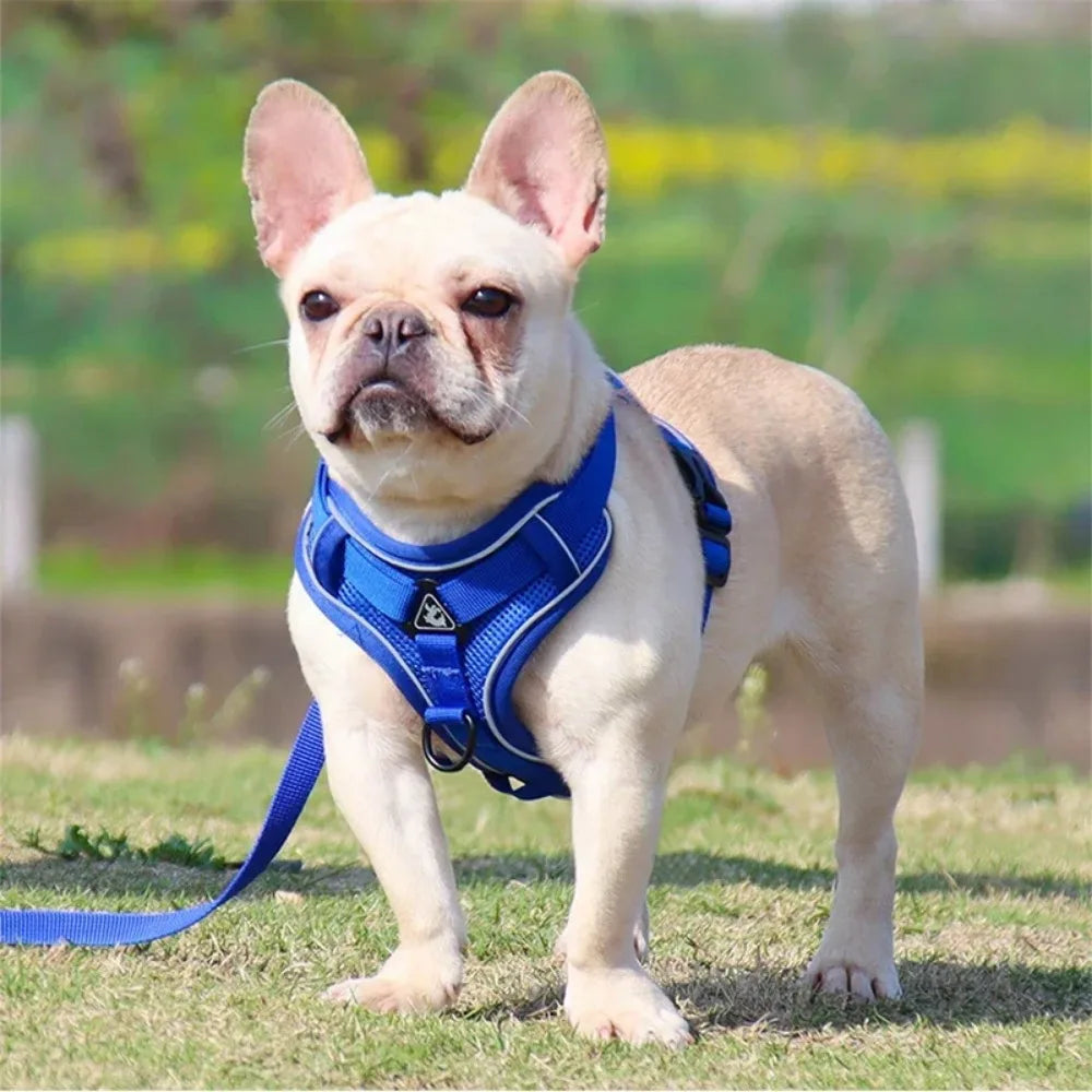 No Pull Dog Harness and Leash Set Adjustable