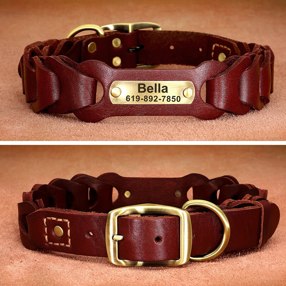 Genuine  Dog Collar Personalized Pet ID
