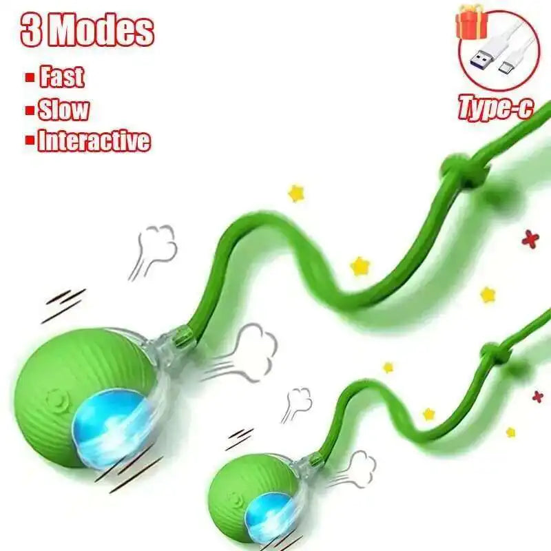 Smart Dog Interactive Ball