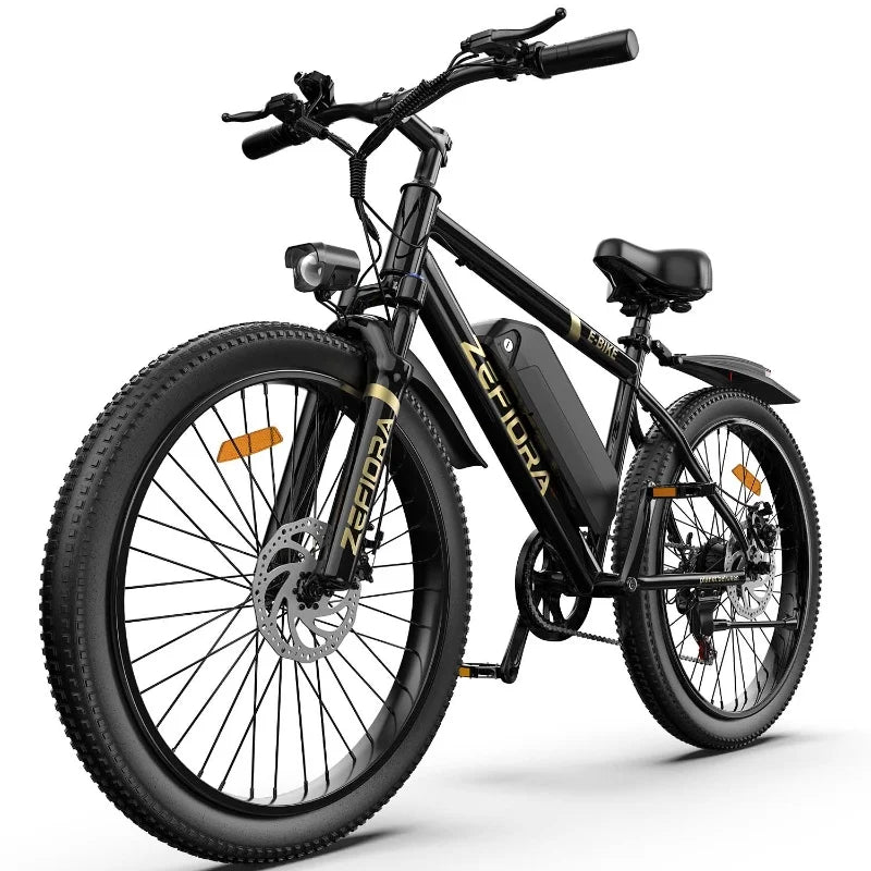 500W Adult Electric Bike