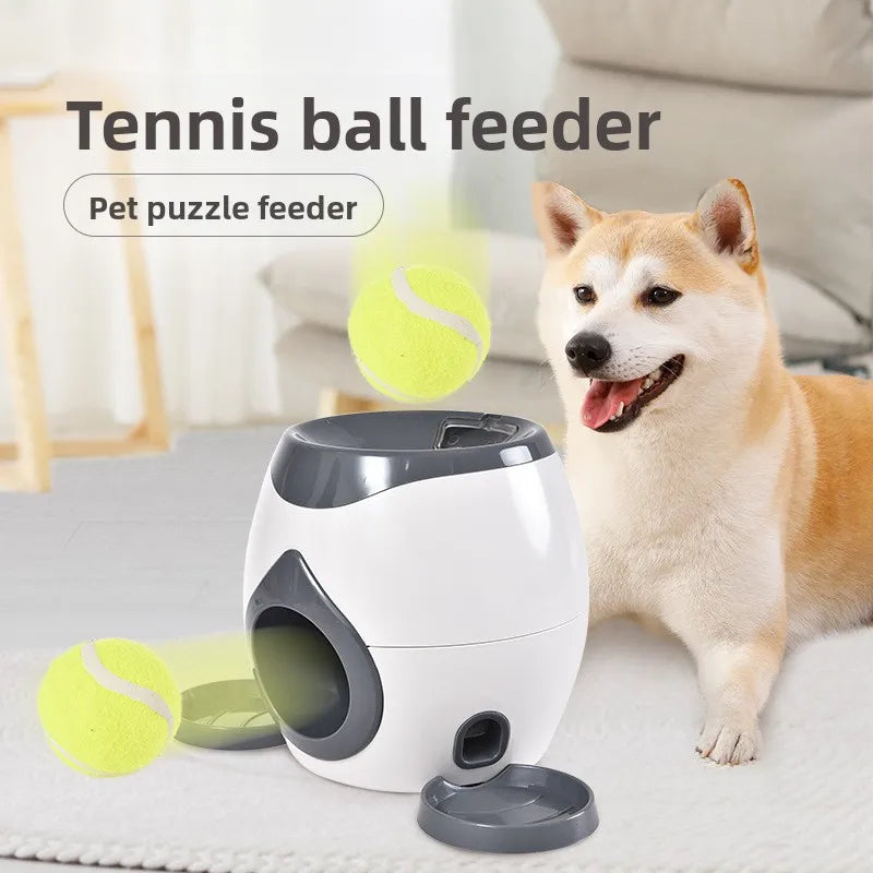 Automatic Ball Launcher