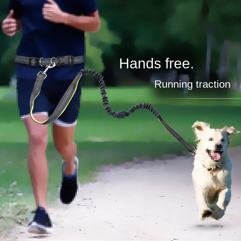 Hand Free Dog Leash  Running