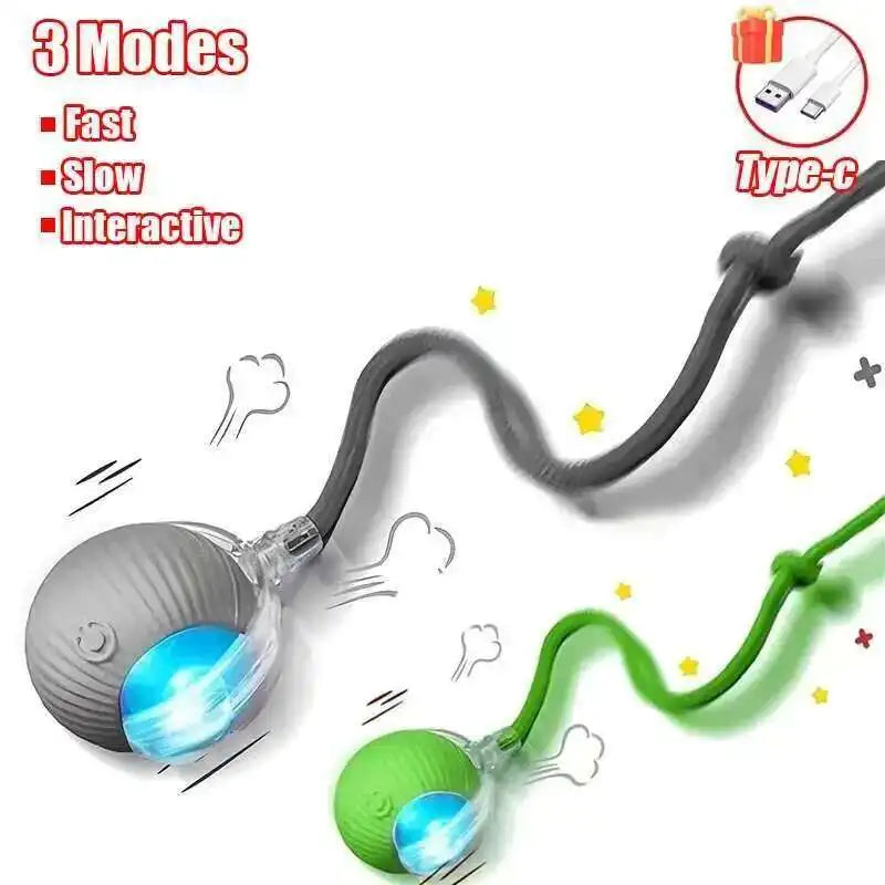 Smart Dog Interactive Ball