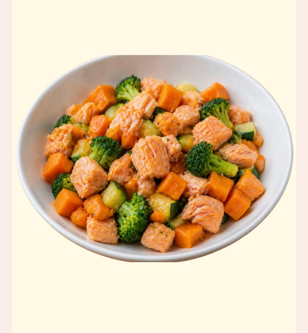 Burroride Homemade Dog Cookbook