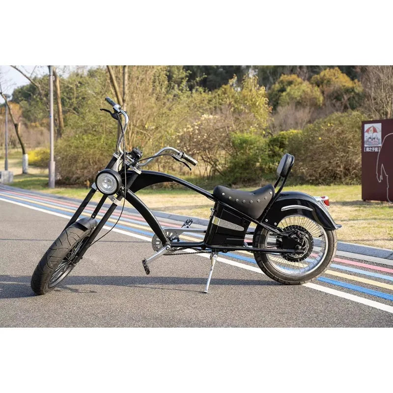 SXLL High quality 20 inch fat tires electric chopper bike