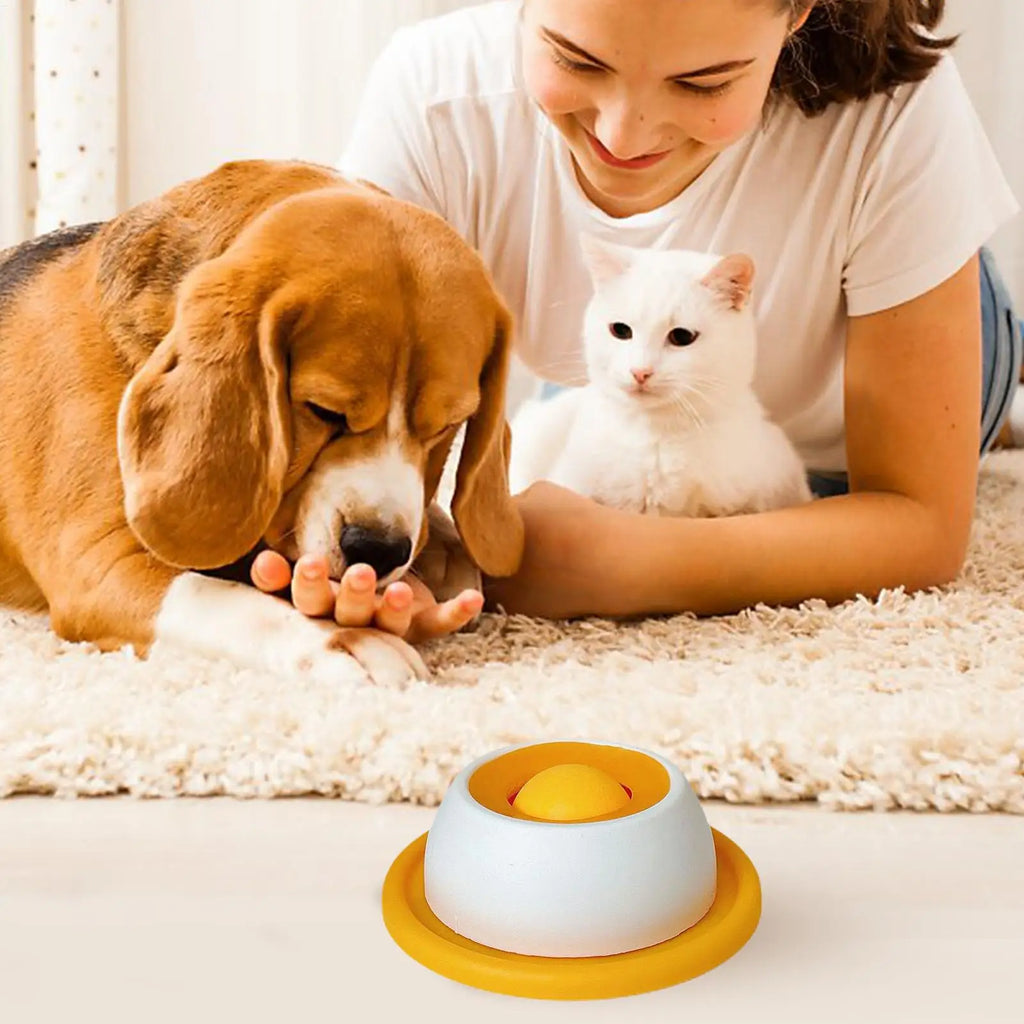 Pet Feeding Accessories Dog Treat
