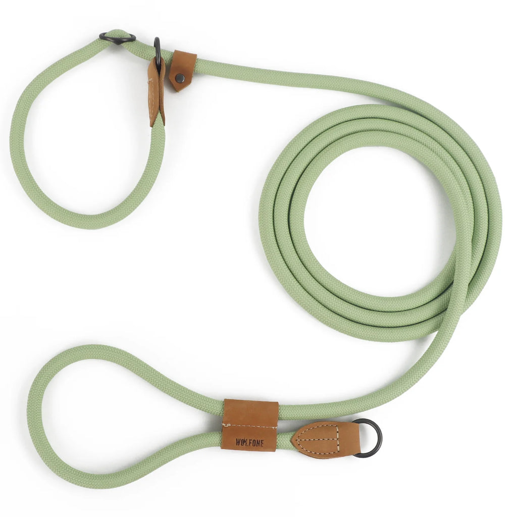 Multi-functional adjustable P-shape dog leash