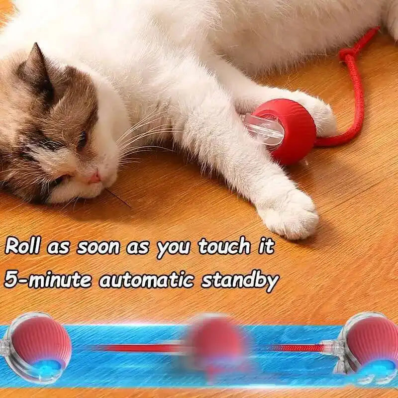 Smart Dog Interactive Ball