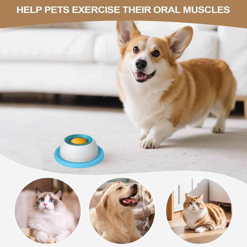 Pet Feeding Accessories Dog Treat
