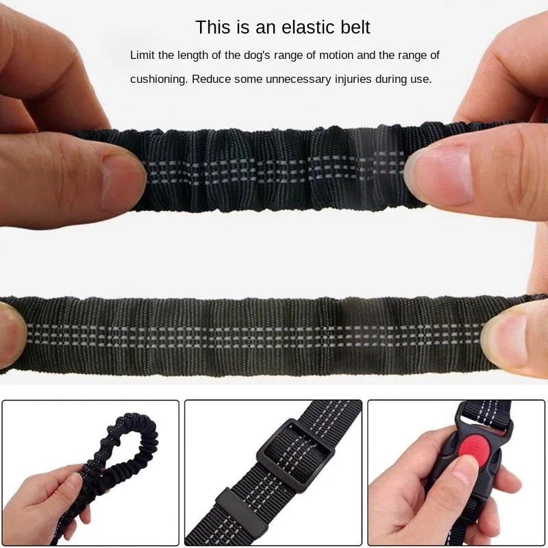 Hand Free Dog Leash  Running