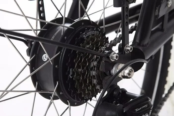 Electric Cargo Bicycle premium