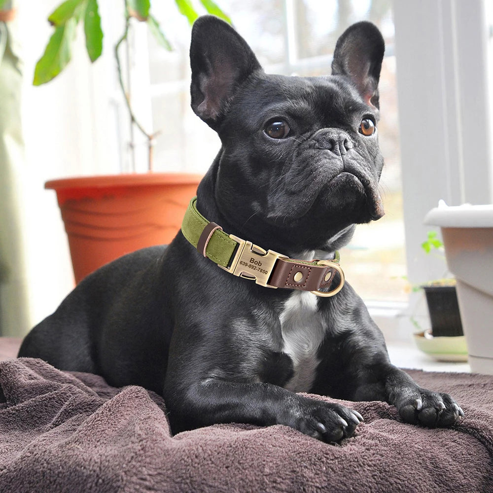 Free Custom PU Leather Dog Collar