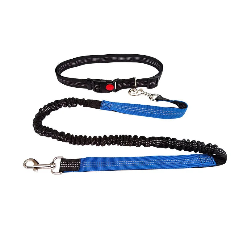 Hand Free Dog Leash  Running