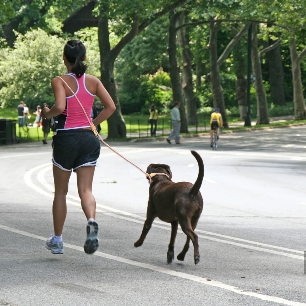 Multi-functional adjustable P-shape dog leash