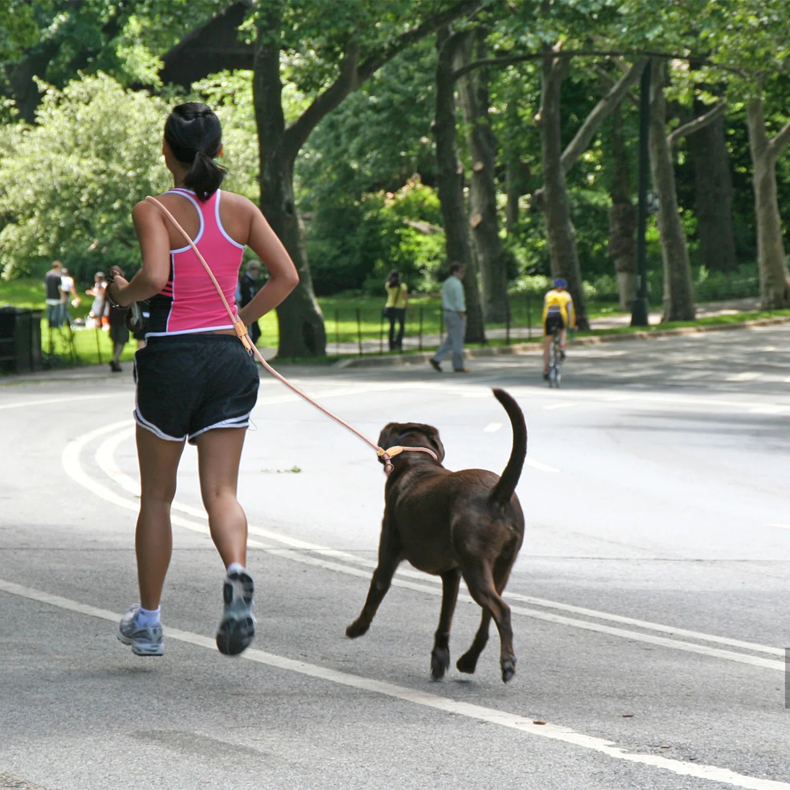 Multi-functional adjustable P-shape dog leash
