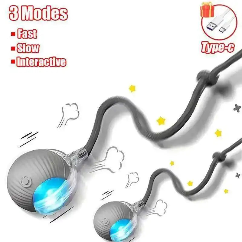 Smart Dog Interactive Ball