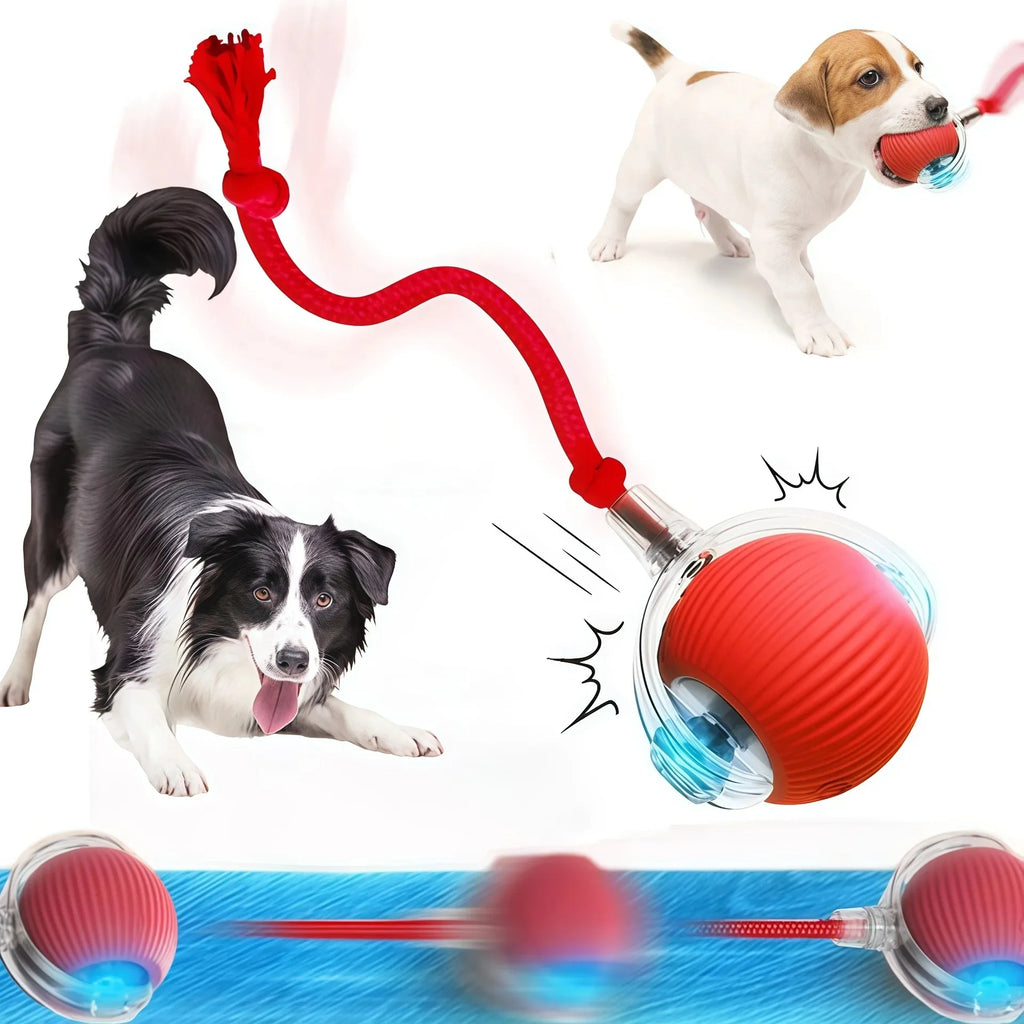 Smart Dog Interactive Ball