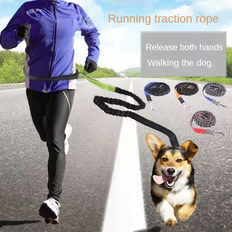 Hand Free Dog Leash  Running